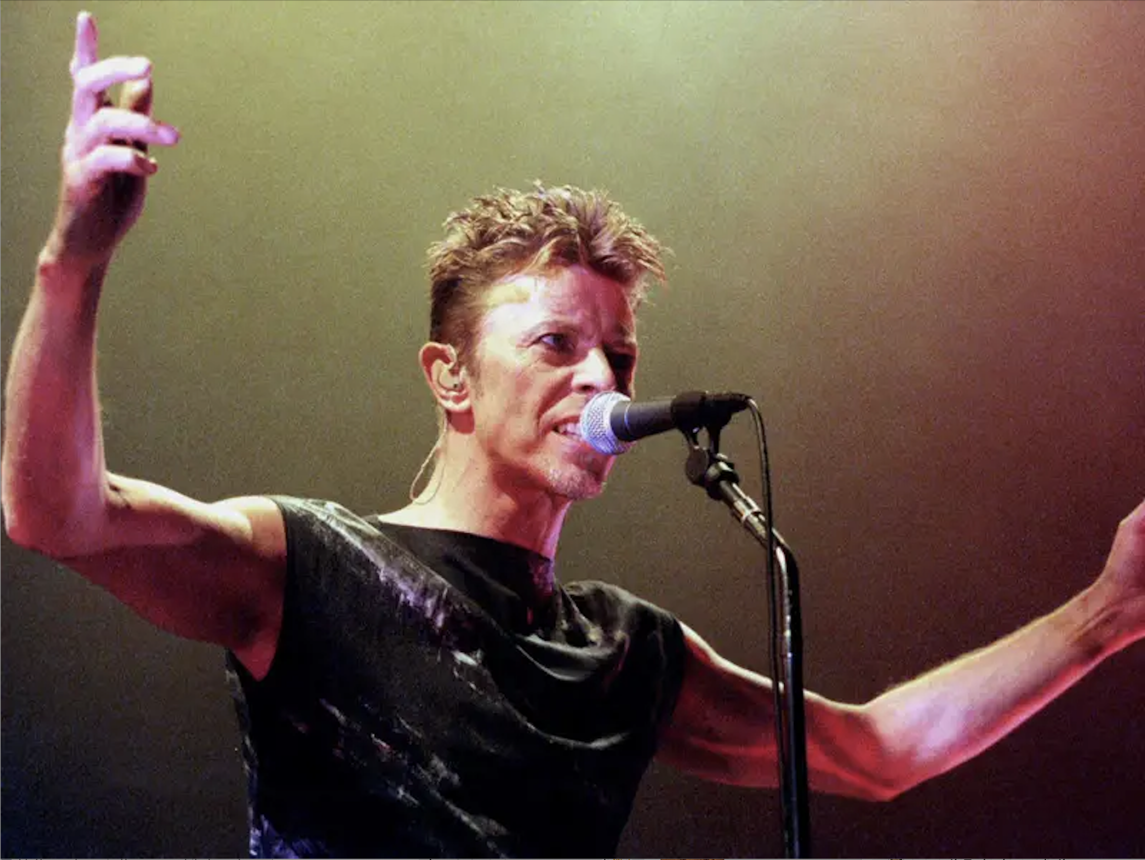 David Bowie branded banking concept